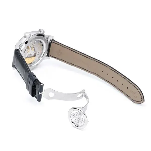 Patek Philippe Celestial, reference 6102P-001, photo 3