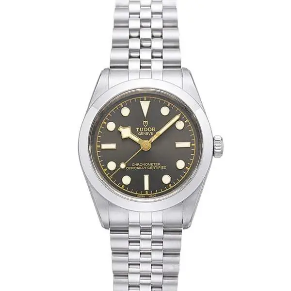 Tudor Black Bay 31, reference M79600-0001, photo 1