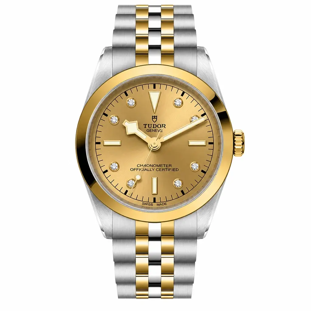 Tudor Black Bay 36 S&G, reference M79643-0008, photo 1