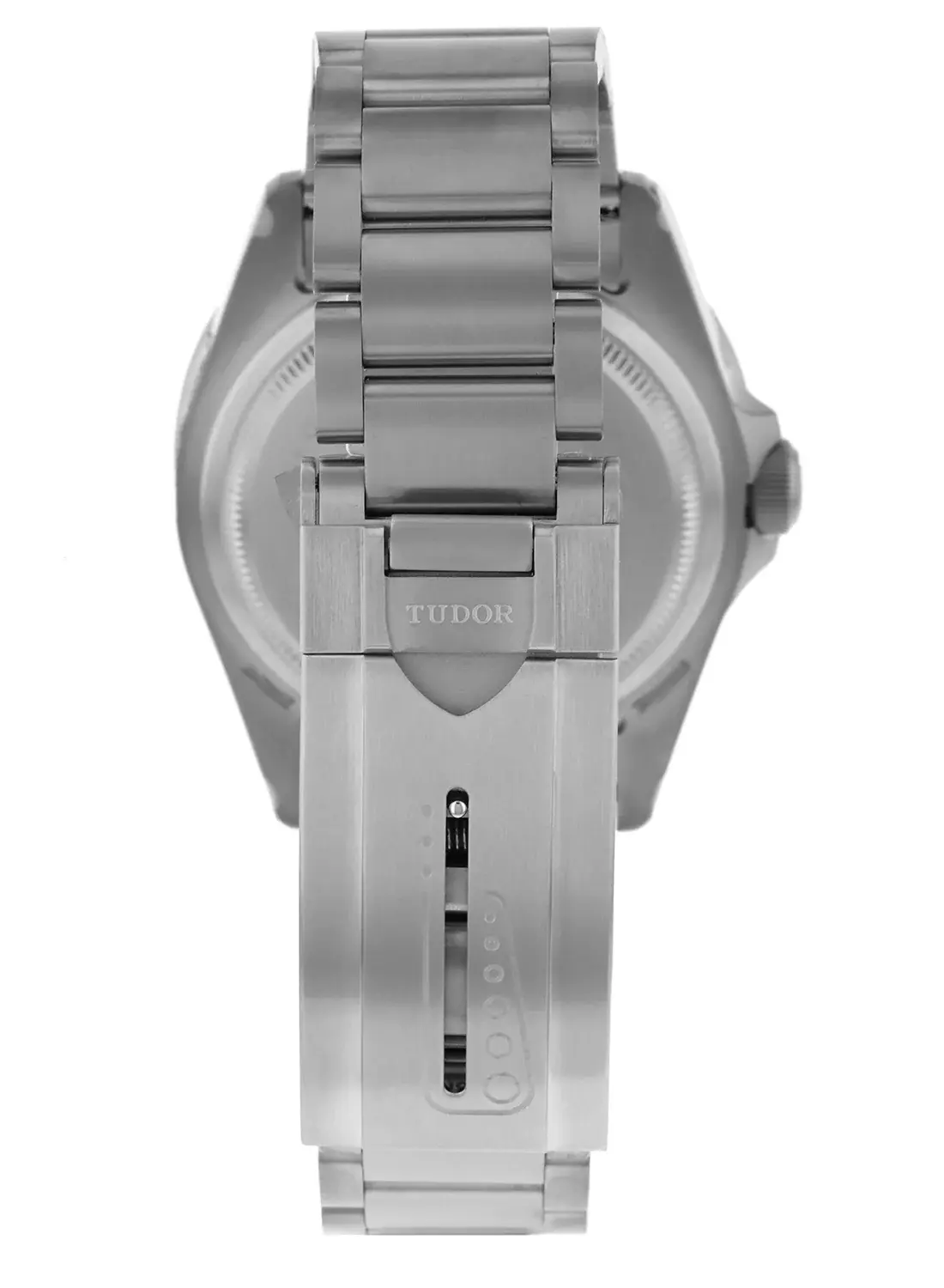 Tudor Pelagos, reference M25600TN-0001, photo 2